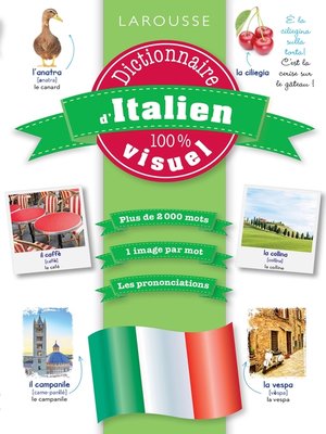cover image of Dictionnaire d'italien 100% visuel